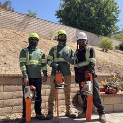 L&P Tree Service