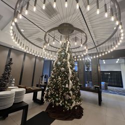 Houston CityPlace Marriott At Springwoods Village - 12/5/25