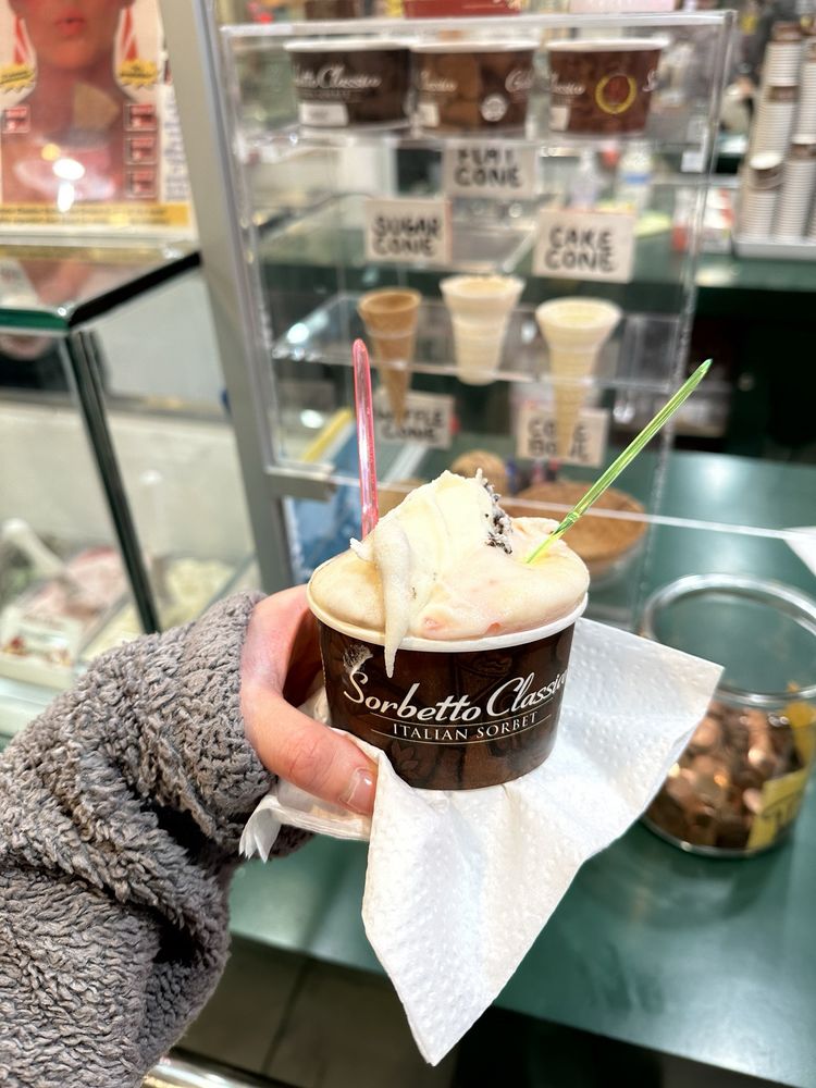 Gelato Classico Italian Ice Cream