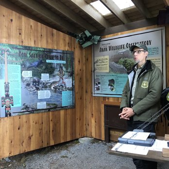 Anan Wildlife Observatory - Parks Near Me - Wrangell Island, Alaska