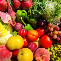 SLO Veg - This week's harvest Aug 22-26, 2022!  Receive all this in our harvest boxes delivered right to your doorstep.  Everything's LOCAL - Enjoy!