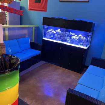 Bermudas Daiquiris To-Go - Lounge - Bars Near Me - San Antonio, Texas Bermudas Daiquiris To-Go - Lounge - Bars Near Me - San Antonio, Texas