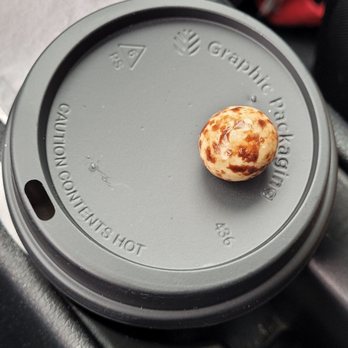 The Human Bean - 12oz with bean on top - A plastic coffee cup lid with a bean-shaped object on top, resting on a vehicle dashboard. The lid has text and symbols indicating safety and recycling information. - Coffee & Tea Near Me - Albuquerque, New Mexico