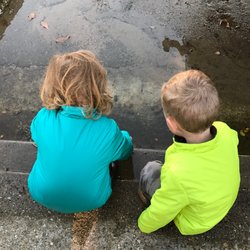 Little Ducklings Preschool & Childcare - Looking for tadpoles