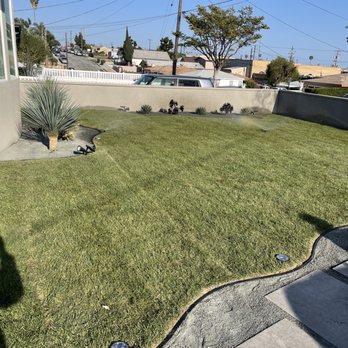 Amado Landscaping - Finished work - Landscaping Near Me - Hawthorne, California Amado Landscaping - Finished work - Landscaping Near Me - Hawthorne, California