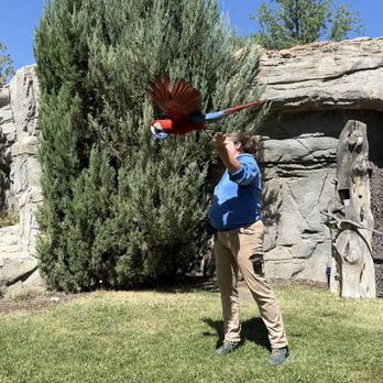 Tracy Aviary - Zoos Near Me - Salt Lake City, Utah