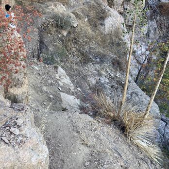 Dawn Mine Hike - Some narrow trails in parts. Be careful. - Hiking Near Me - Altadena, California