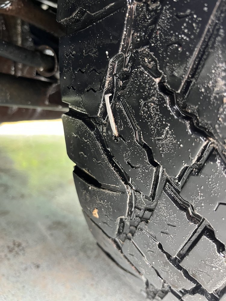 TIRE KINGDOM Updated September 2024 19 Reviews 1633 US Hwy 19 N