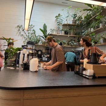 Elegy Coffee - Coffee & Tea Near Me - Nashville, Tennessee Elegy Coffee - Coffee & Tea Near Me - Nashville, Tennessee