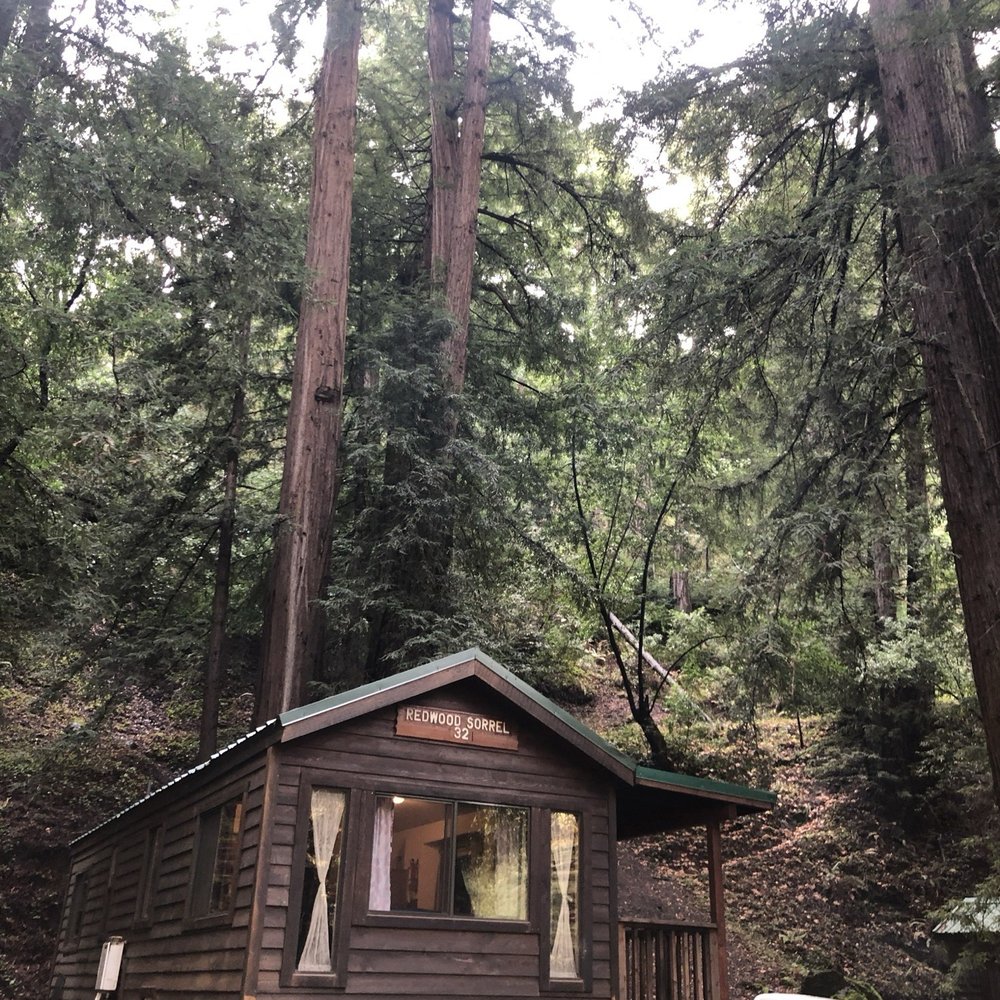 Fernwood Resort - Cabin - Hotels Near Me - Big Sur, California Fernwood Resort - Cabin - Hotels Near Me - Big Sur, California