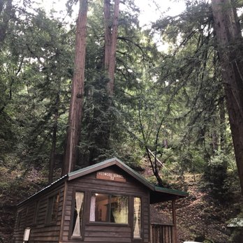 Fernwood Resort - Cabin - Hotels Near Me - Big Sur, California Fernwood Resort - Cabin - Hotels Near Me - Big Sur, California
