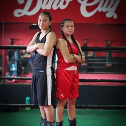Dino City Boxing