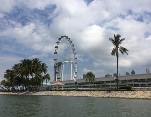 Singapore DUCKtours by null