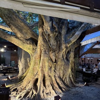 Figueira Rubaiyat - Dining area - Latin American Near Me - São Paulo, SP Figueira Rubaiyat - Dining area - Latin American Near Me - São Paulo, SP