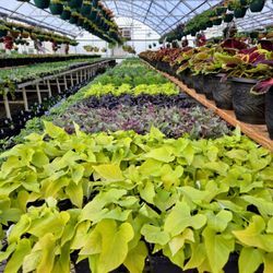Weegman Landscape & Garden Center