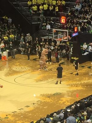 Matthew Knight Arena by null