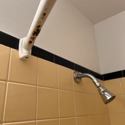 The Lodge at Mammoth Cave - Rusted out shower rod.