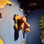 Photo of Dudley Do-Right's Ripsaw Falls