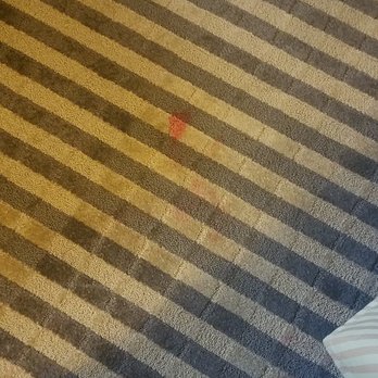 Radisson Hotel Philadelphia Northeast - The carpet was brightened with a lamp because otherwise it would have been much too dark as the room was dark and dreary. Nxt to bed. - Hotels Near Me - Trevose, Pennsylvania