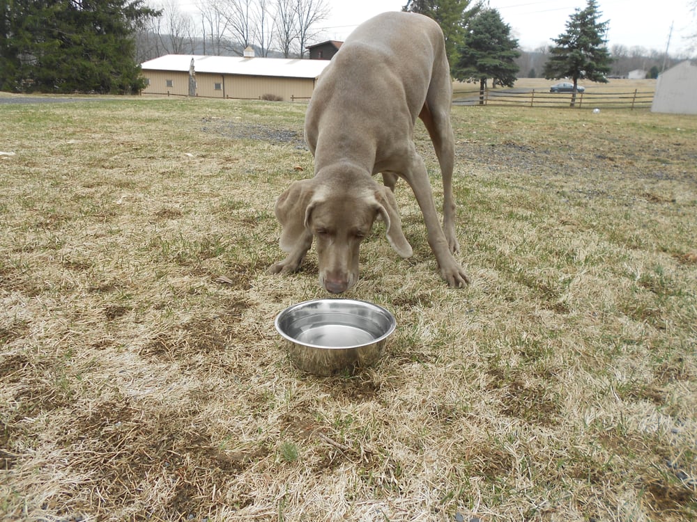 Slide of Tim Beil Plumbing