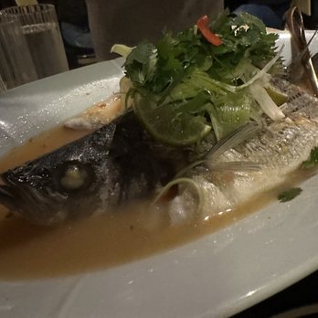 Siam Thai - Steamed striped bass - Thai Near Me - Flushing, New York Siam Thai - Steamed striped bass - Thai Near Me - Flushing, New York