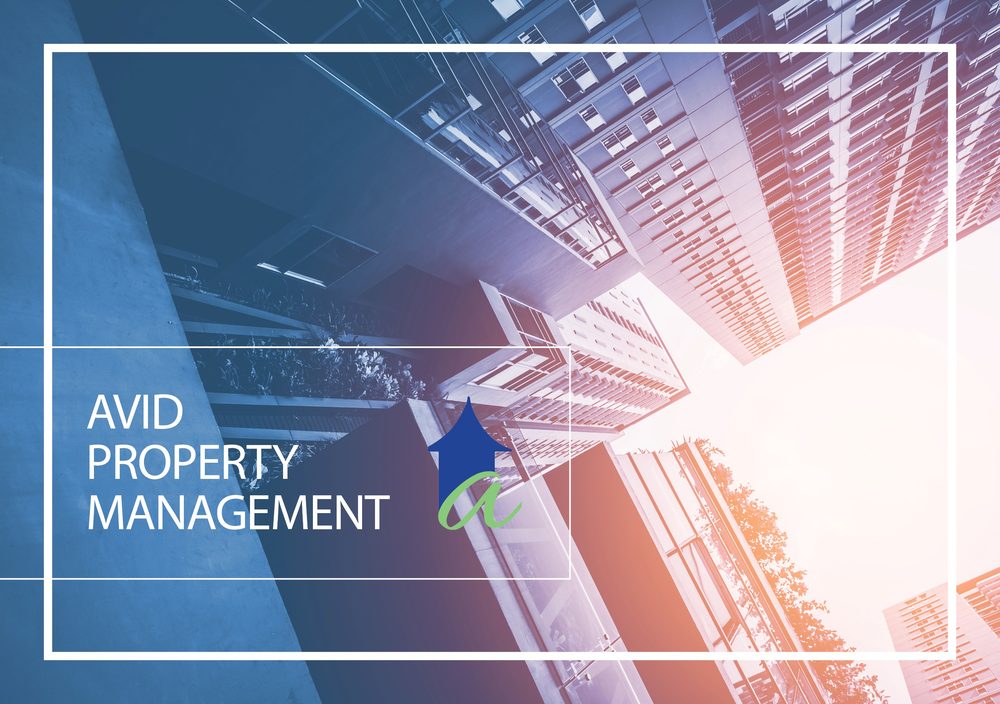 AVID PROPERTY MANAGEMENT Updated 2024 21750 Hardy Oak Blvd, San