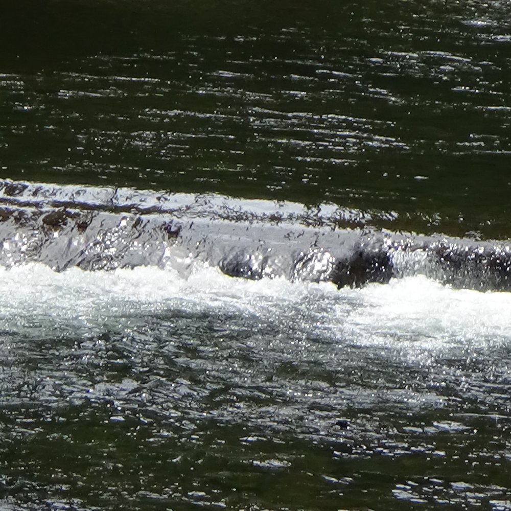 Eagle Fern Park - Flowing water - Parks Near Me - Eagle Creek, Oregon