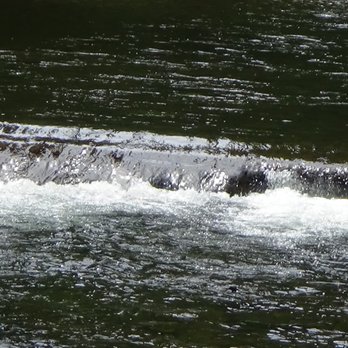 Eagle Fern Park - Flowing water - Parks Near Me - Eagle Creek, Oregon Eagle Fern Park - Flowing water - Parks Near Me - Eagle Creek, Oregon