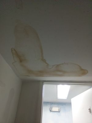 bathroom ceiling. - bad water stain, nothing some good primer couldn't handle. bathroom ceiling. - bad water stain, nothing some good primer couldn't handle.