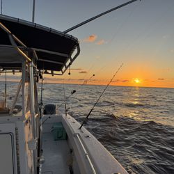 Stuart Sport Fishing