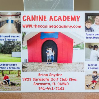 The Canine Academy - Pet Training Near Me - Sarasota, Florida The Canine Academy - Pet Training Near Me - Sarasota, Florida