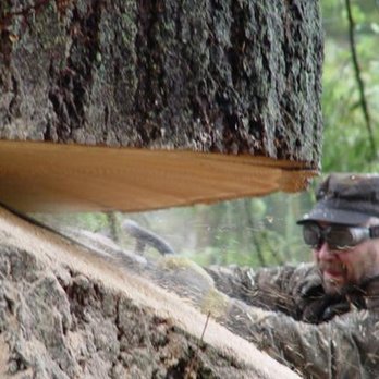 Kramer Tree Service - untitled - Tree Services Near Me Kramer Tree Service - untitled - Tree Services Near Me