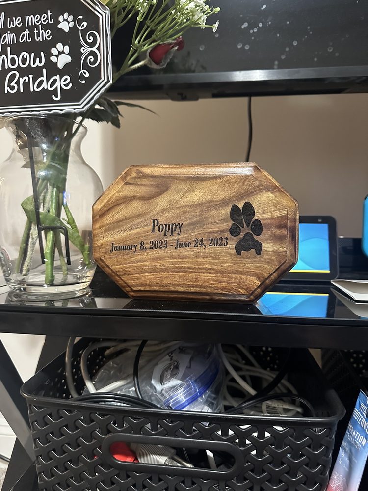 ALL PAWS PET EMERGENCY HOSPITAL Updated July 2024 21 Reviews 3317