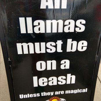Asheville Brewing - They had a llama petting event today from 4-7. - Pizza Near Me - Asheville, North Carolina