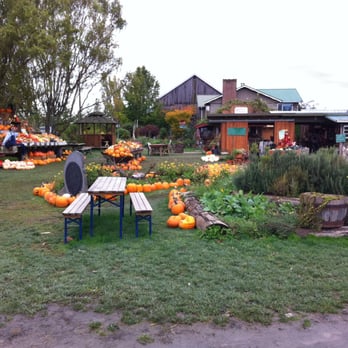 Westham Island Herb Farm - Farmers Market Near Me - Delta, British Columbia