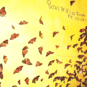 Topolobampo - Beautiful hallway filled with butterflies in the entrance of the restaurant - Mexican Near Me - Chicago, Illinois Topolobampo - Beautiful hallway filled with butterflies in the entrance of the restaurant - Mexican Near Me - Chicago, Illinois