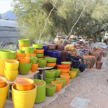 B & B Cactus Farm - Nurseries & Gardening Near Me - Tucson, Arizona