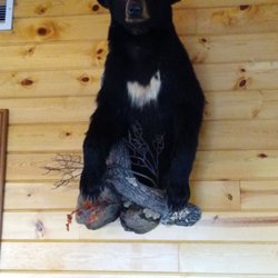 9 Mile All-Sport Resort - One of many animals
