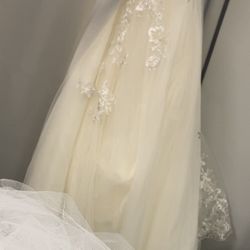 David's Bridal - The dress I received, you can clearly see it's not the same as the color I tried on