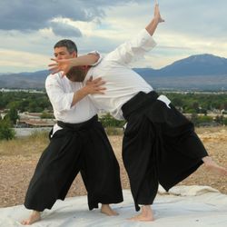 Aikido of Sparks