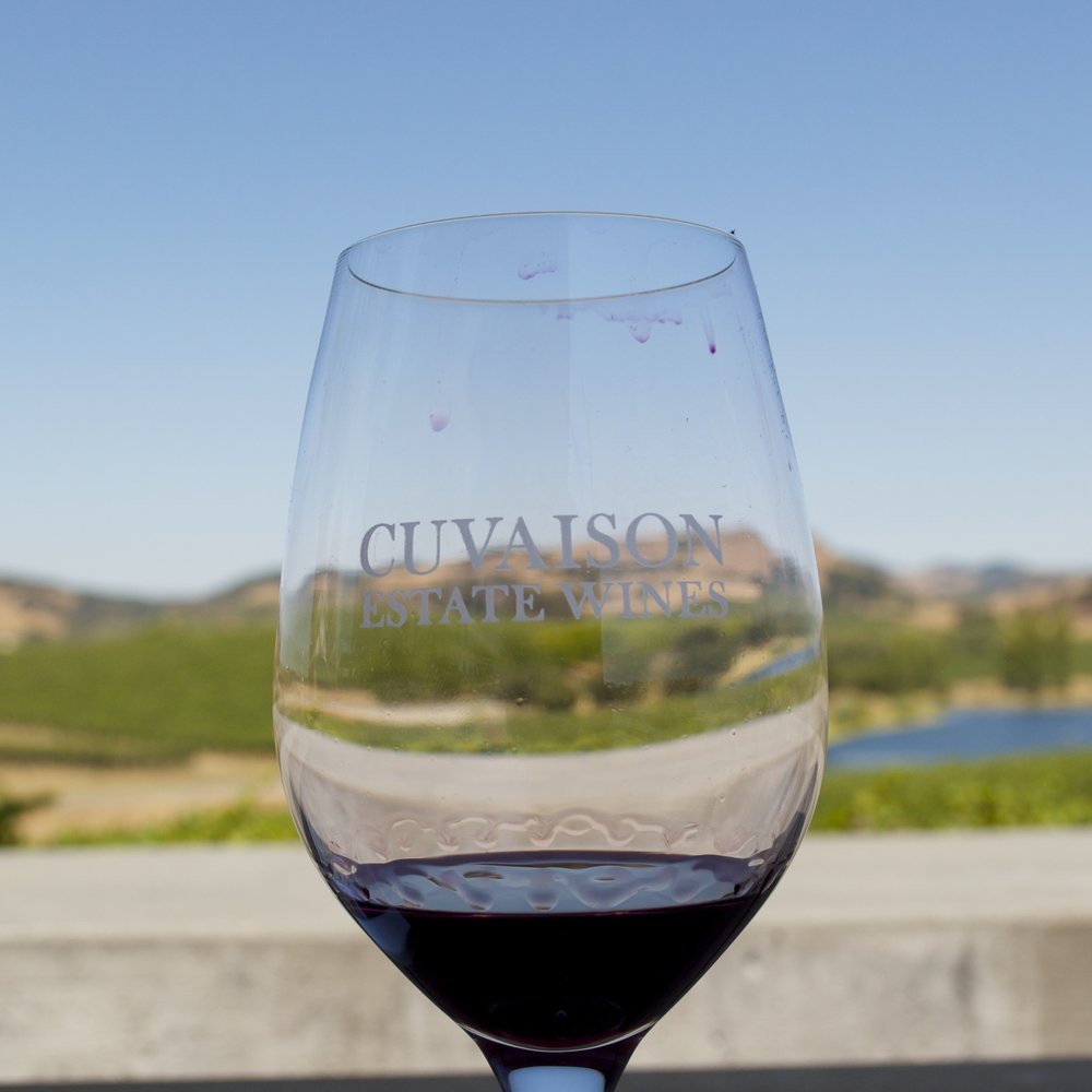 Cuvaison - A beautiful view with beautiful wine! - Wineries Near Me - Napa, California