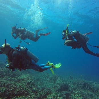 Blue Wilderness Dive Adventures - Welcome to the wonderful world of Scuba Diving!!! - Scuba Diving Near Me - Waimea, Hawaii Blue Wilderness Dive Adventures - Welcome to the wonderful world of Scuba Diving!!! - Scuba Diving Near Me - Waimea, Hawaii