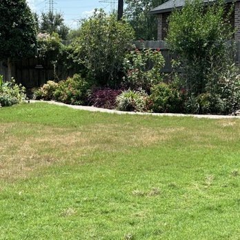 TruGreen Lawn Care - Looking horrible, never hire them - Tree Services Near Me - Houston, Texas TruGreen Lawn Care - Looking horrible, never hire them - Tree Services Near Me - Houston, Texas