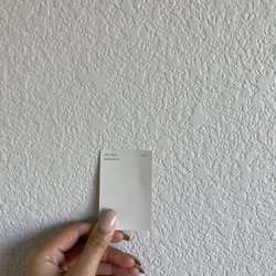 Sherwin-Williams Paint Store - Perfect match as the store swatch