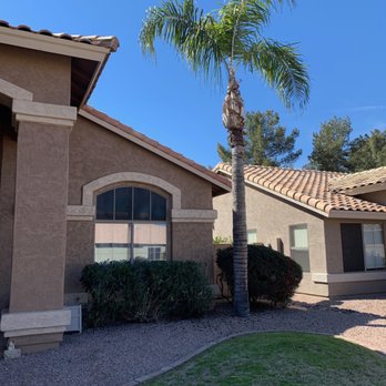 Pristine Green - After - Tree Services Near Me - Gilbert, Arizona