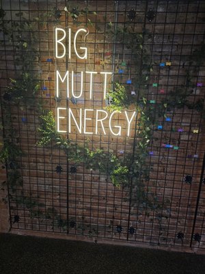 The Boozy Mutt by null