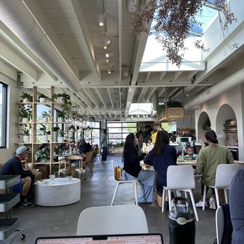Communal Coffee - Cafes Near Me - Oceanside, California Communal Coffee - Cafes Near Me - Oceanside, California