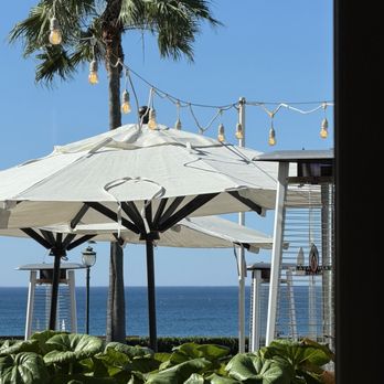 Serea Coastal Cuisine - View - Seafood Near Me - Coronado, California Serea Coastal Cuisine - View - Seafood Near Me - Coronado, California