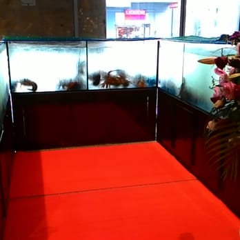 Guangzhou Seafood Restaurant - Lobster & fish tanks. - Seafood Near Me - Auckland, AUK Guangzhou Seafood Restaurant - Lobster & fish tanks. - Seafood Near Me - Auckland, AUK