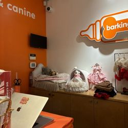 Barking Babies